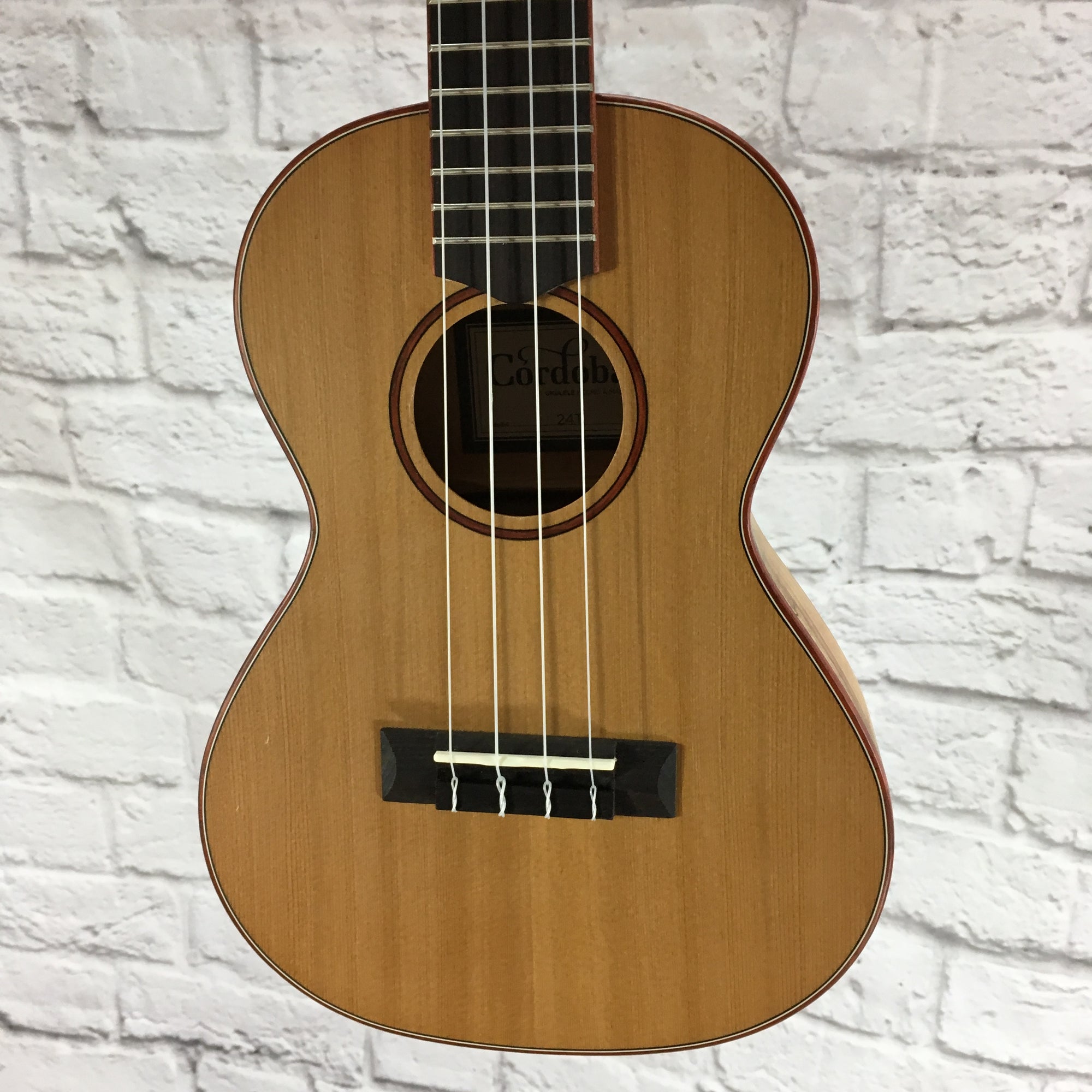 Cordoba 24T Tenor Ukulele