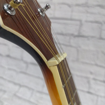 Rogue RM100A A-Style Mandolin with Bag