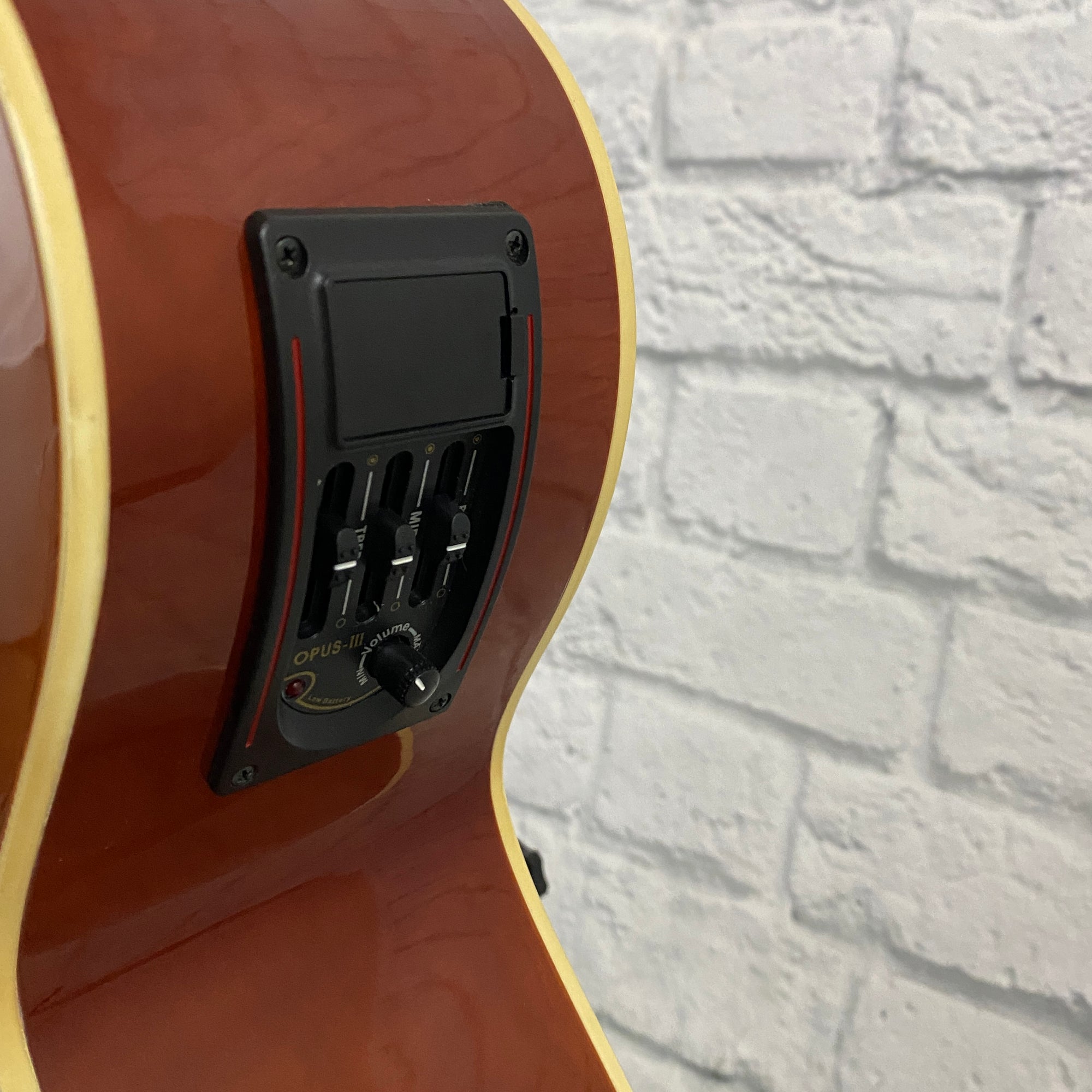 Esteban Amber Joe Acoustic Guitar