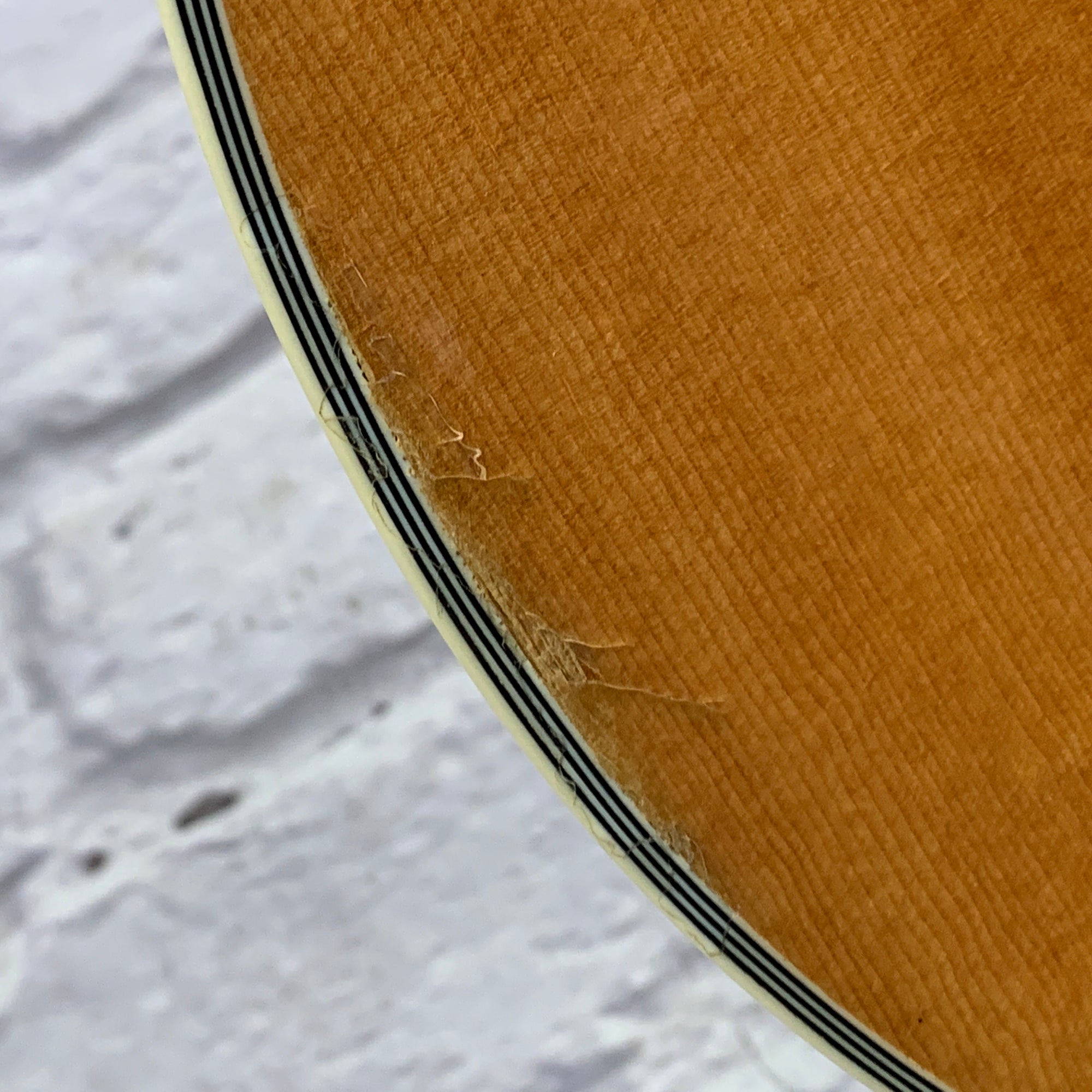 D'Angelico Premier Fulton 12-String Acoustic/Electric