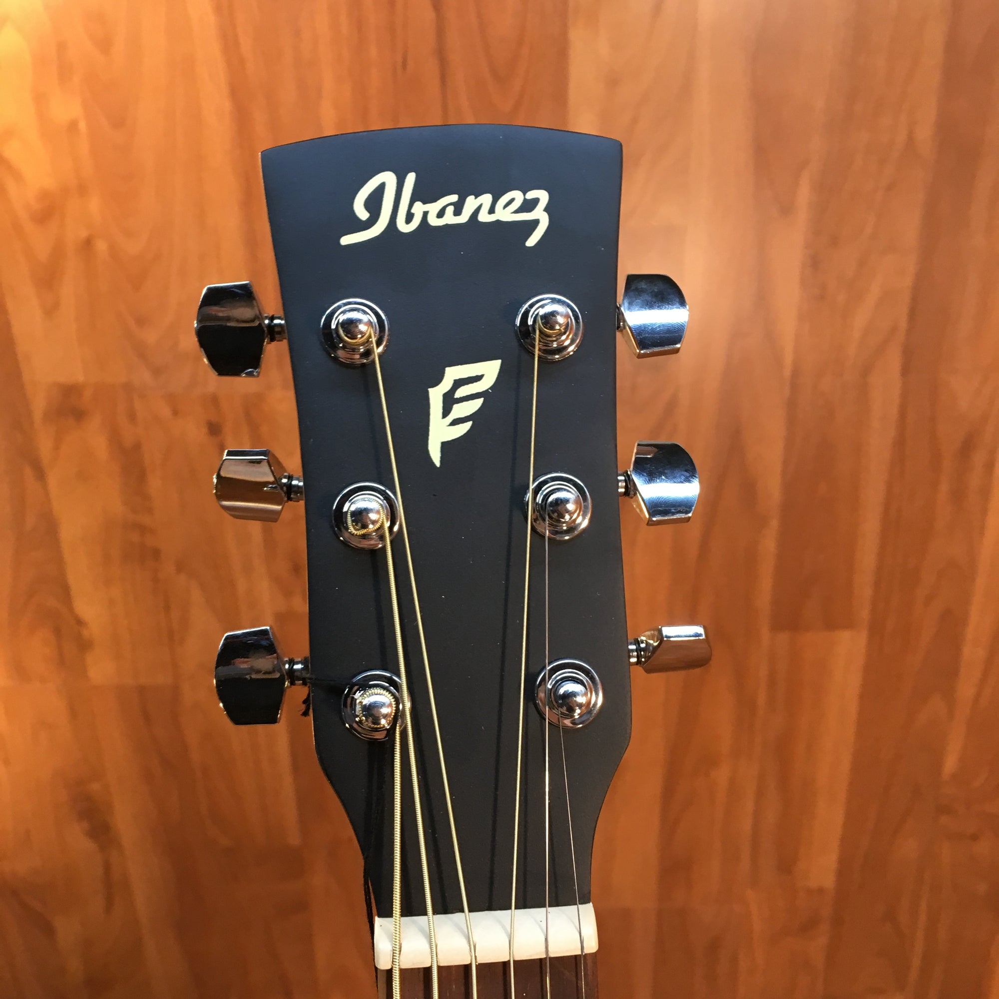 Ibanez PF2MHOPN 3/4 Mini Dreadnought Acoustic Guitar w/bag