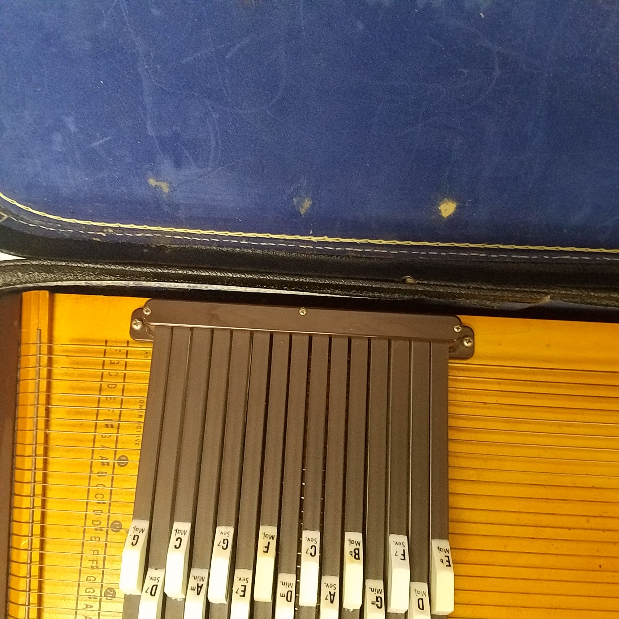 Oscar Schmidt Silverstone Autoharp