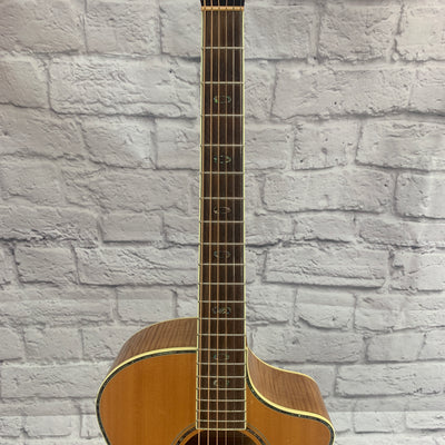 Breedlove AC250/SF Plus w/ Original Case