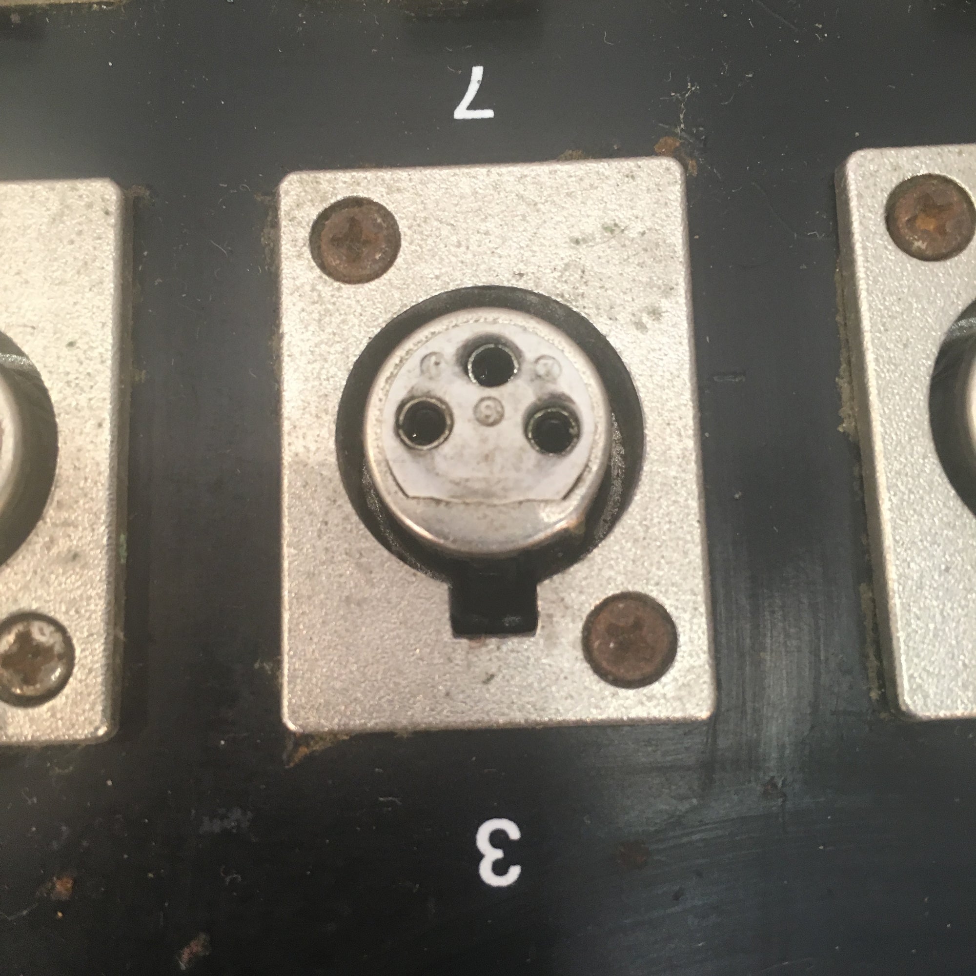 50 foot 8 XLR Channel Snake (No Returns)