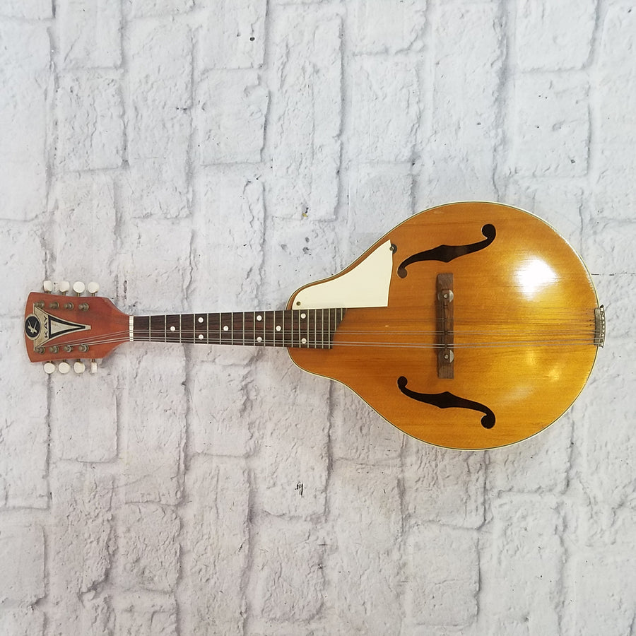 Vintage Kay 8 String Mandolin w/ Bag