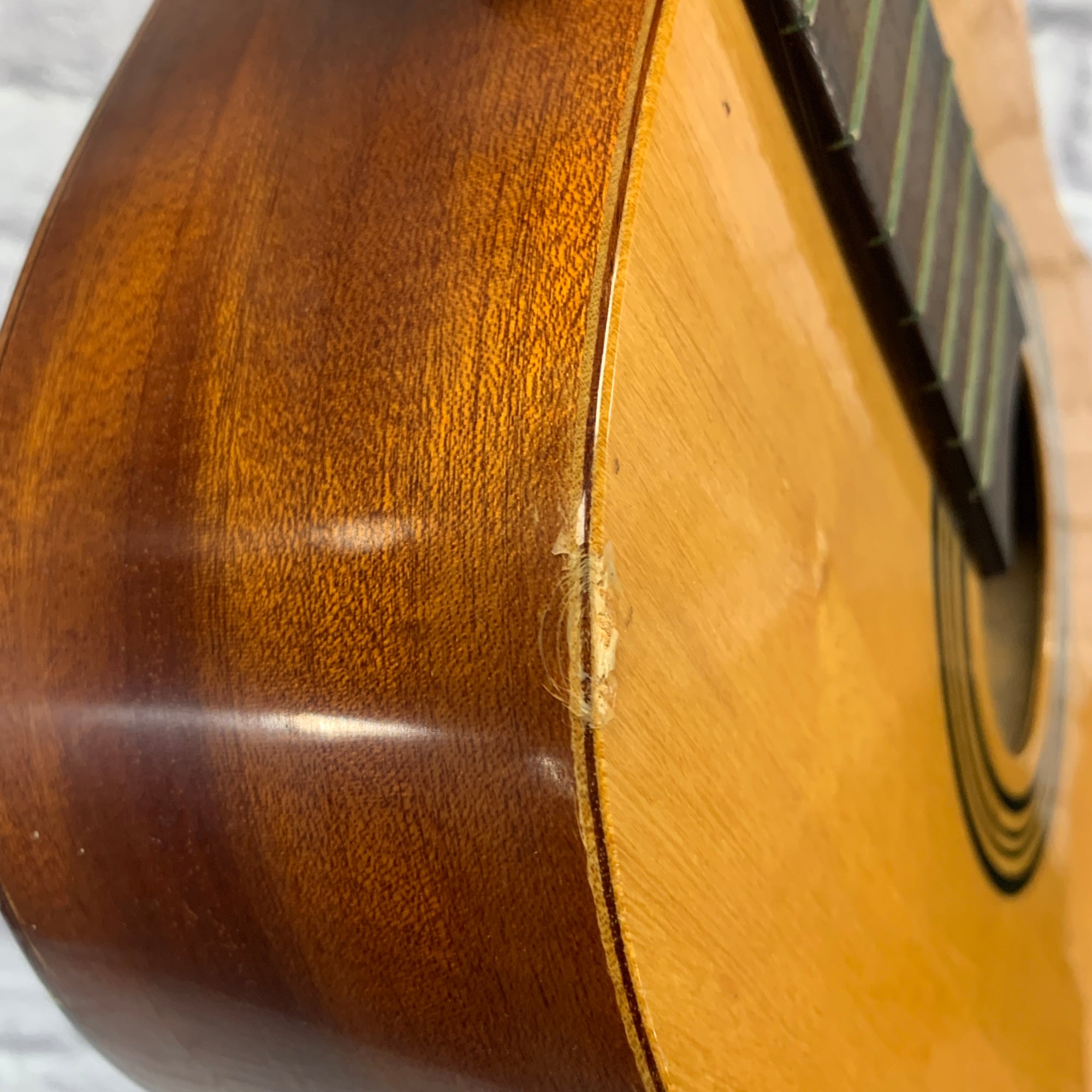 EKO Ekoette Classical Guitar - Project