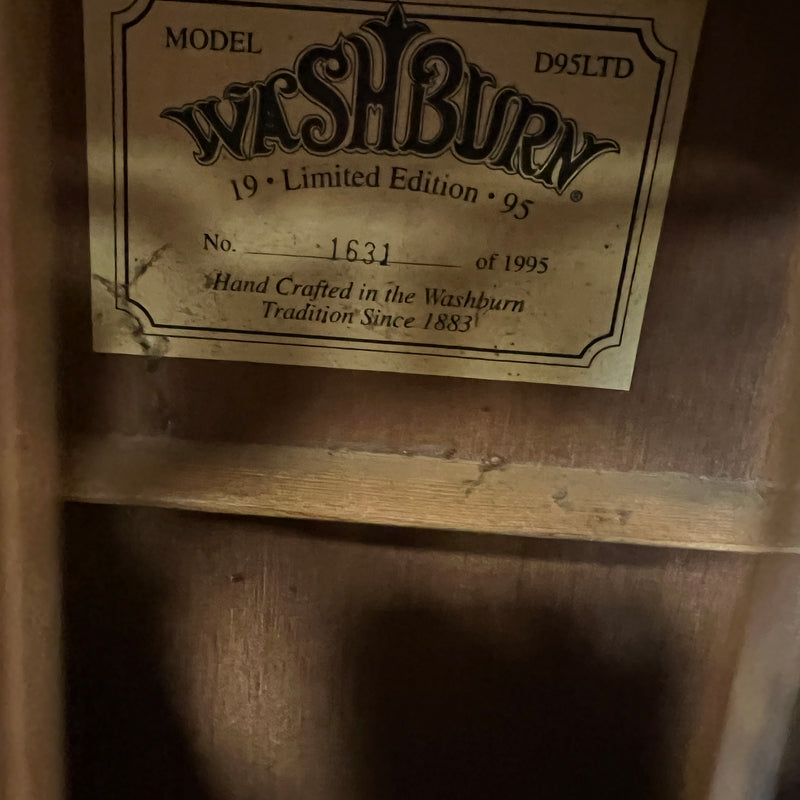 Washburn D95LTD Dreadnaught Acoustic Guitar - Evolution Music