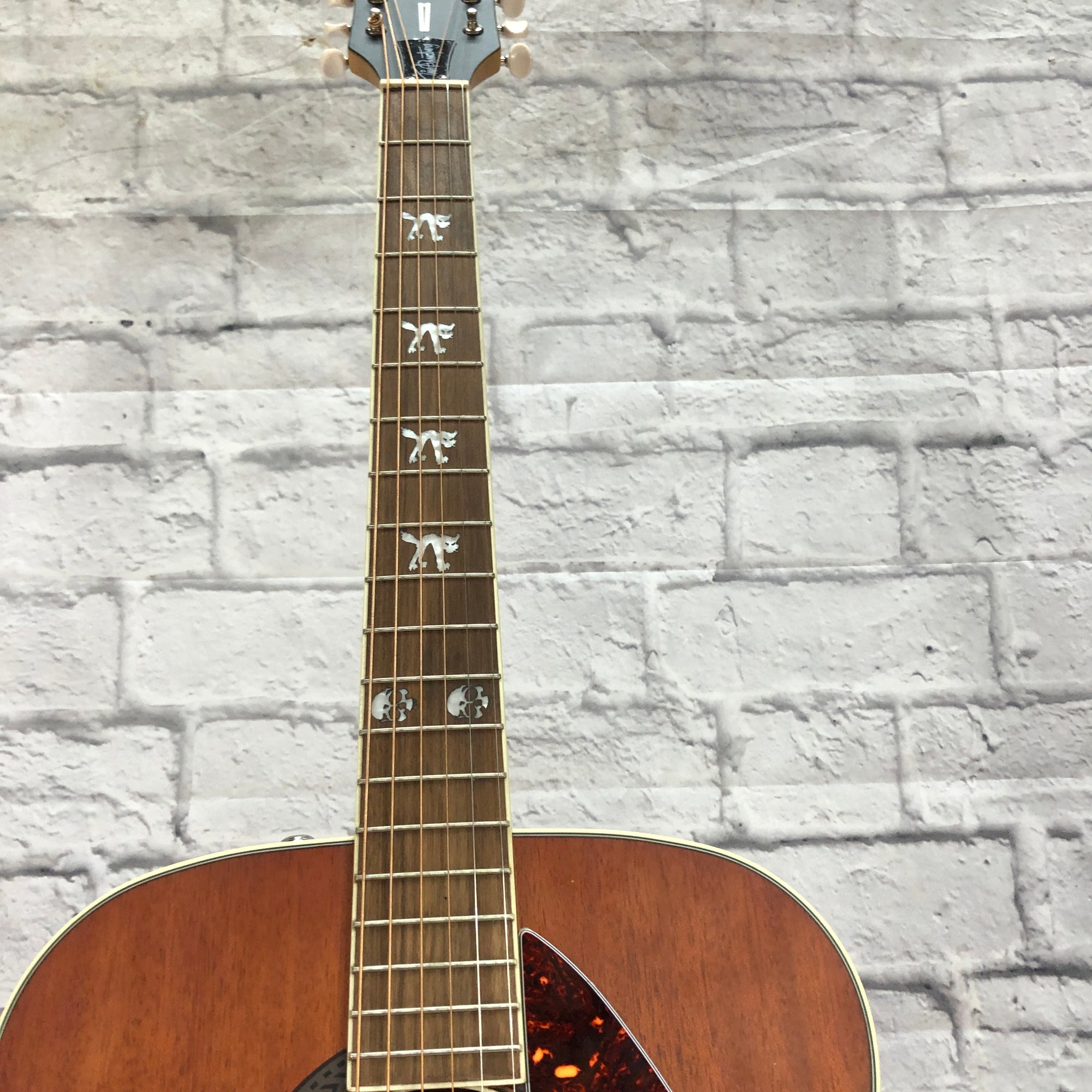 Fender Tim Armstrong Hellcat Acoustic Concert
