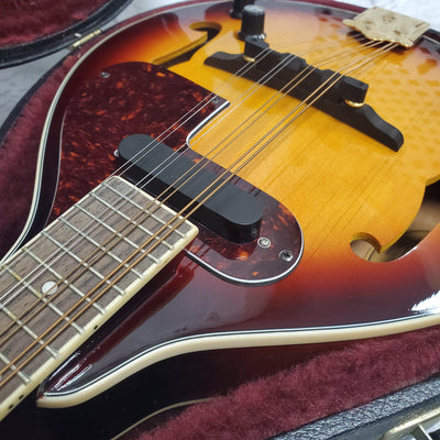 Fender FM-52SE Mandolins w/ Hard Case