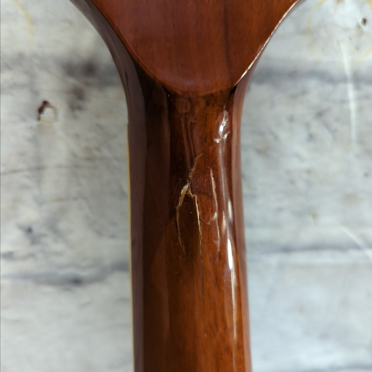 Jasmine ES-50C 4 String Acoustic Fretless Bass AS IS