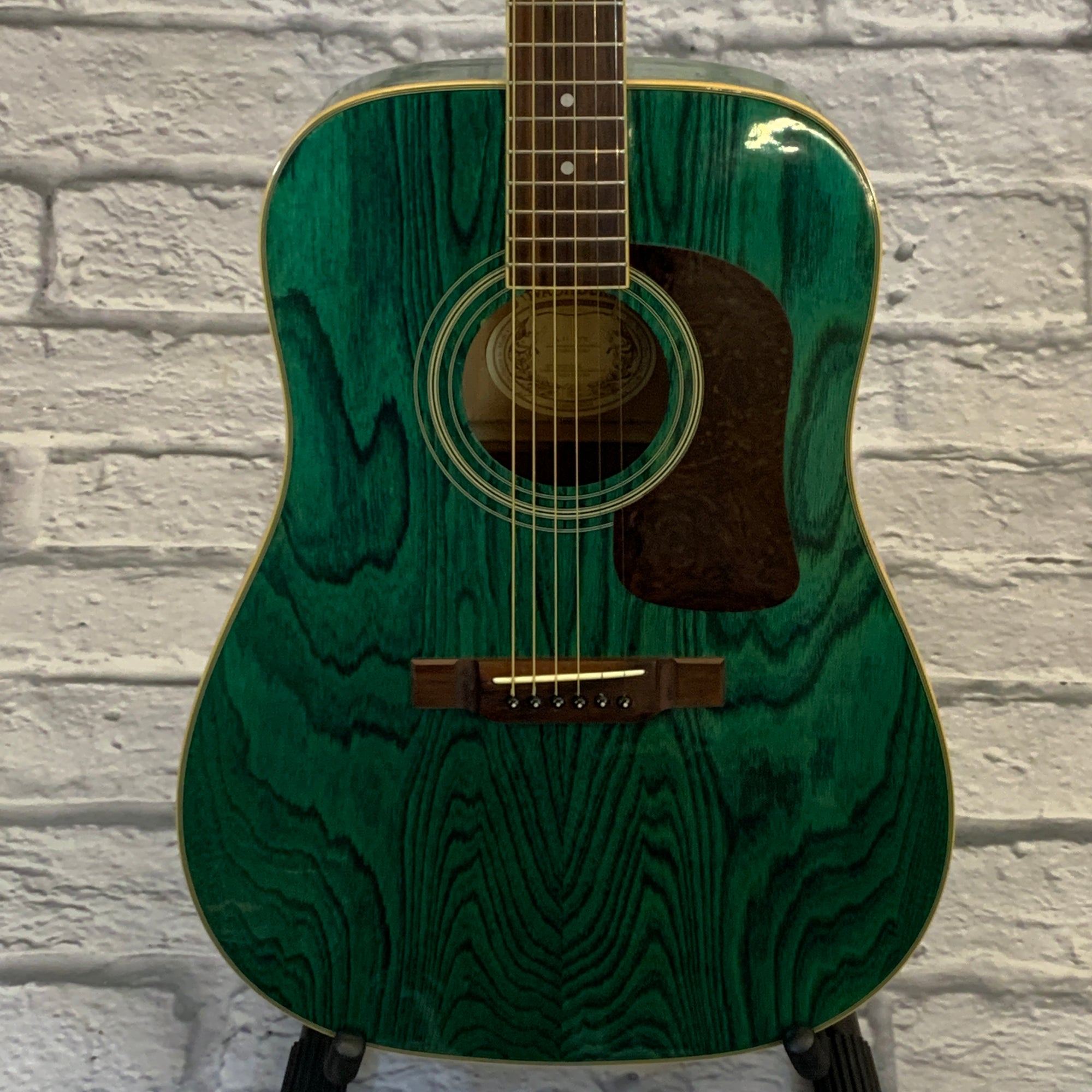 Washburn D-11 TBL Acoustic Guitar