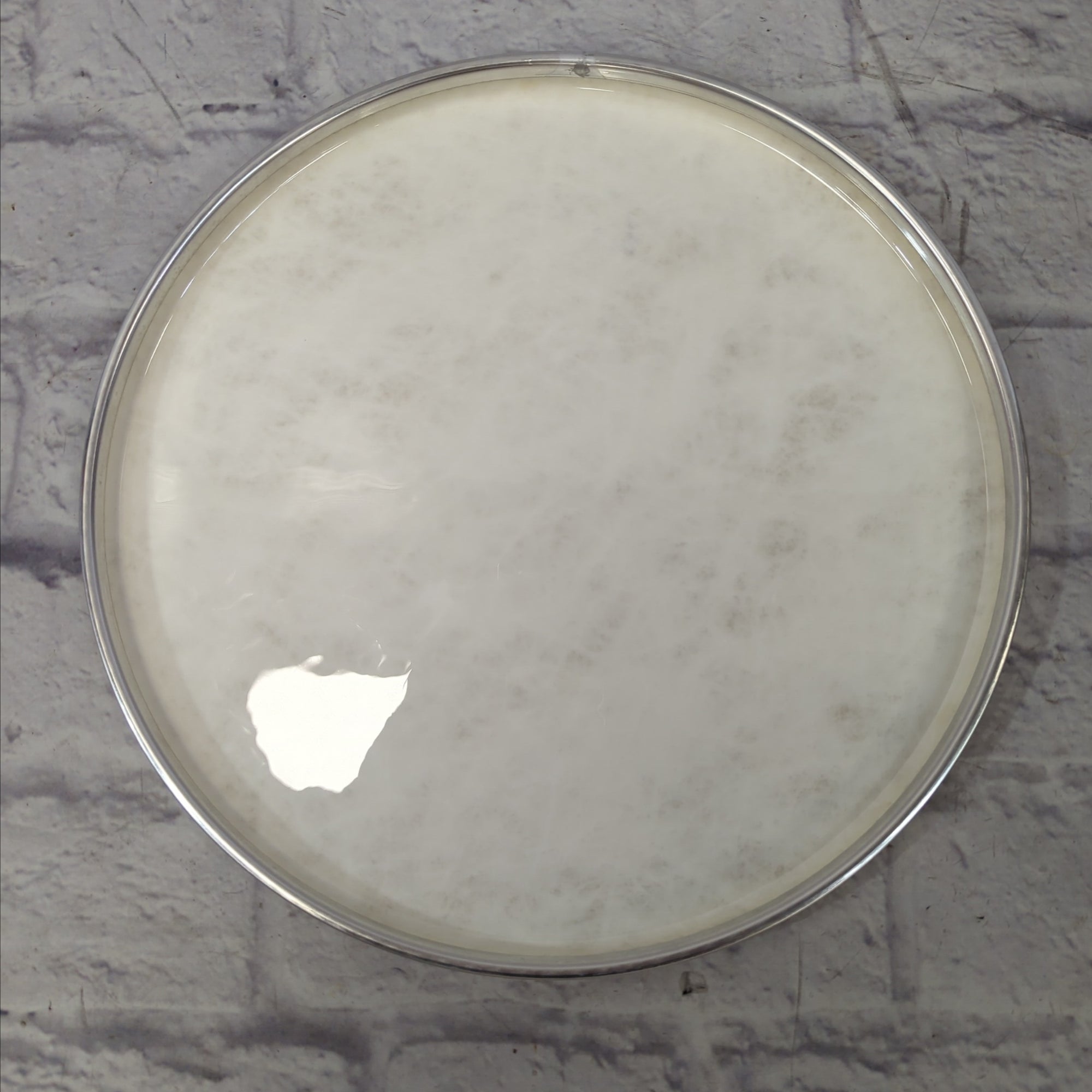 Evans 14 Calftone Snare Batter Head