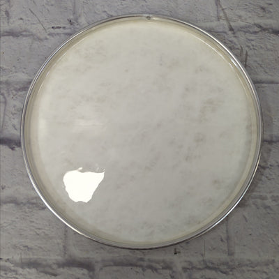 Evans 14 Calftone Snare Batter Head