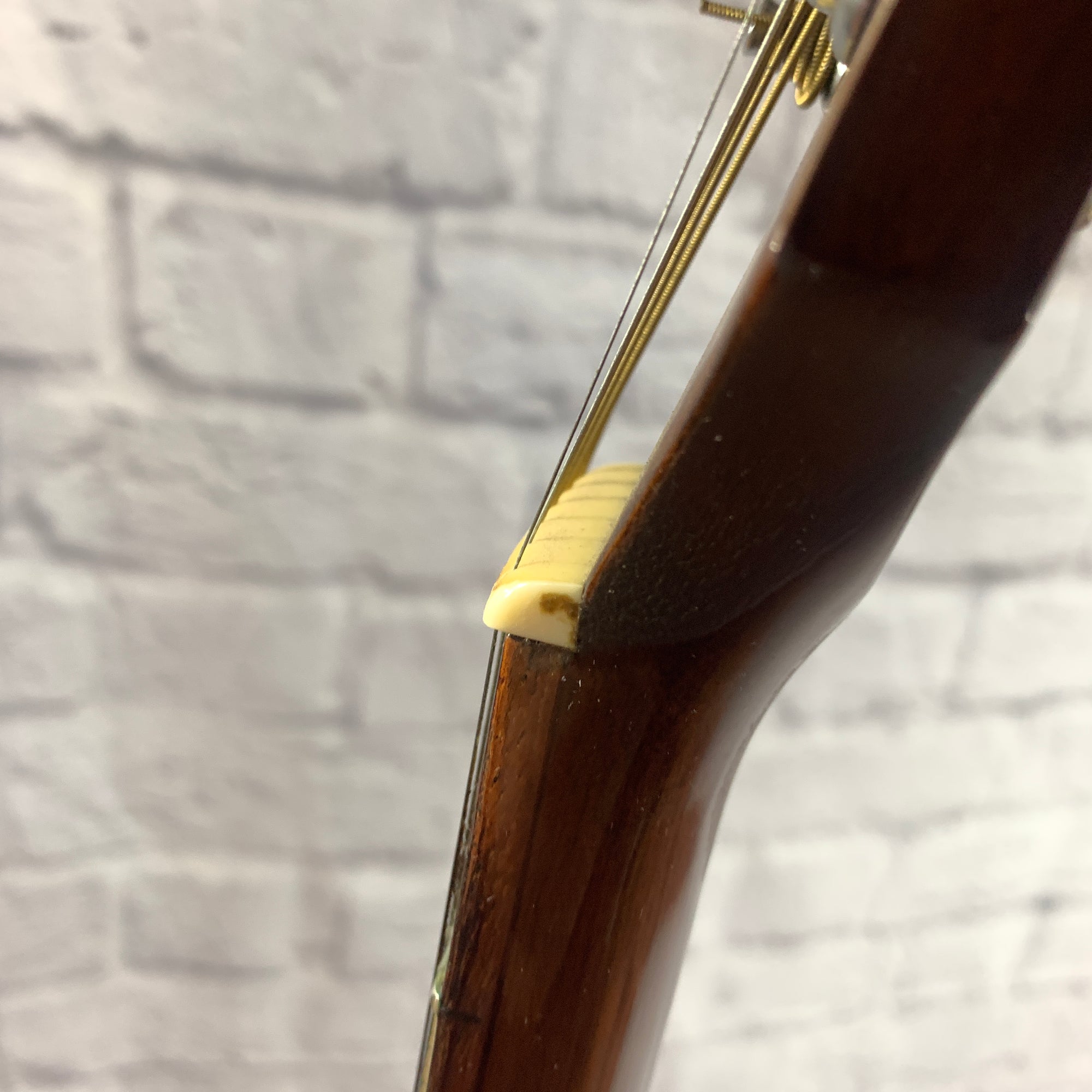 Fender Gemini II Acoustic Guitar