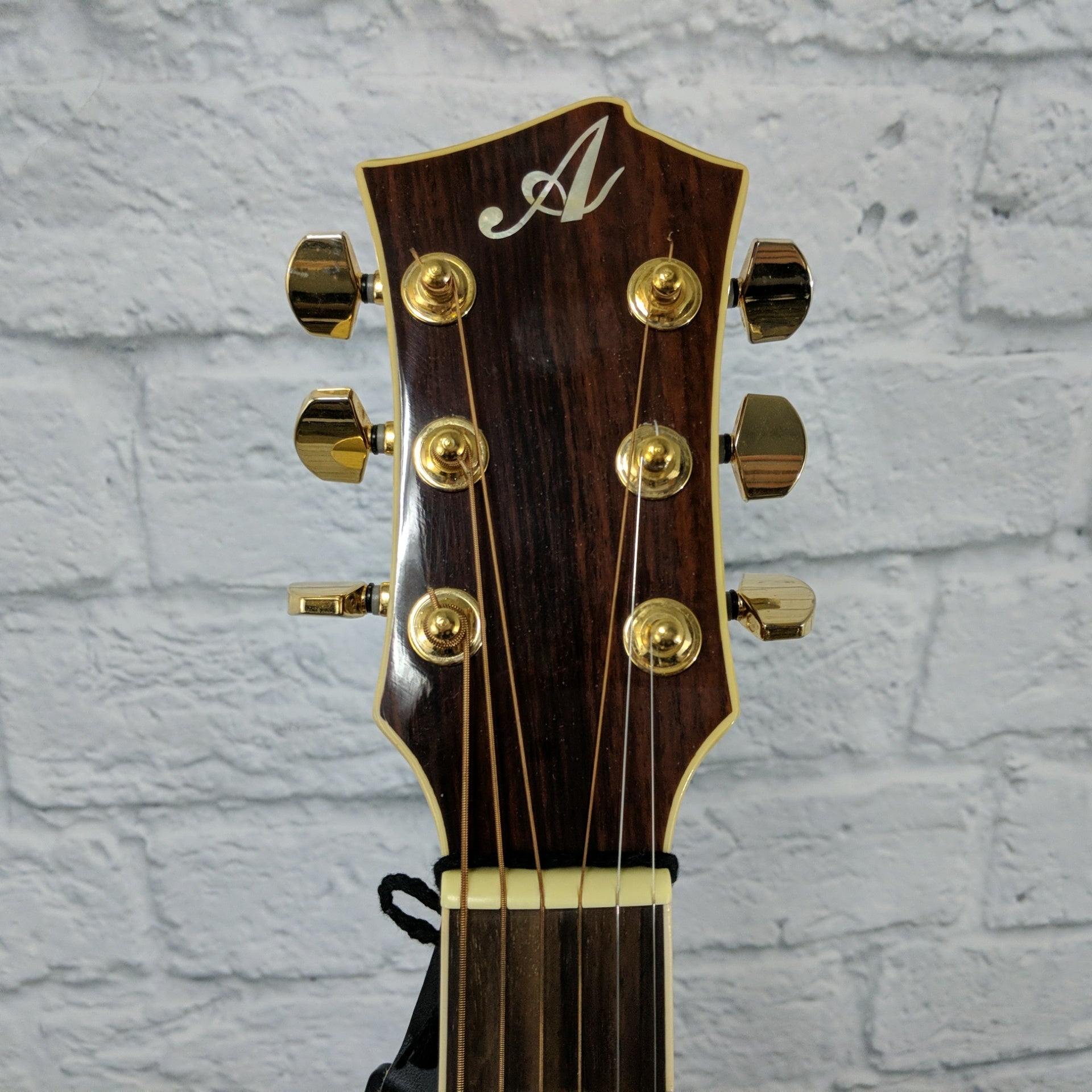 Allen Amplification EWD-30S Dreadnought Acoustic Guitar w/Case