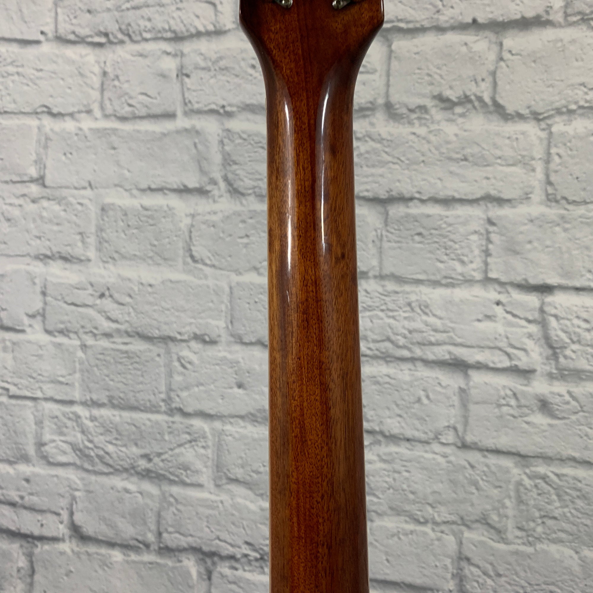 Laguna LG6CE-RW Acoustic Guitar