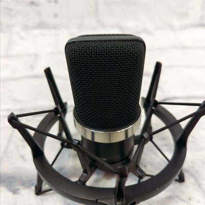 Neumann TLM 102 Large Diaphragm Cardioid Condenser Microphone with Shock Mount