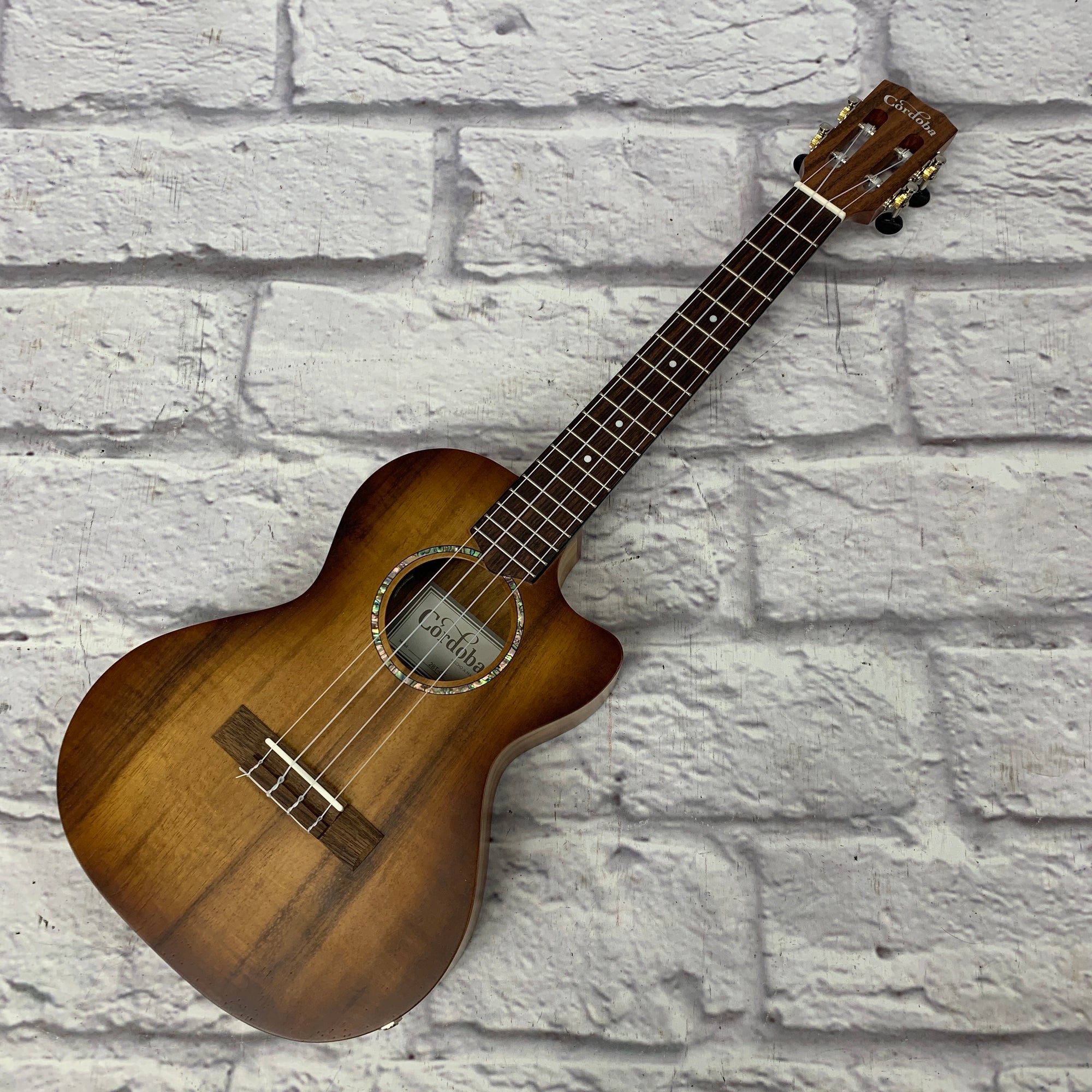 Fender California Coast Rincon Tenor Ukulele Ukuleles Evolution Music