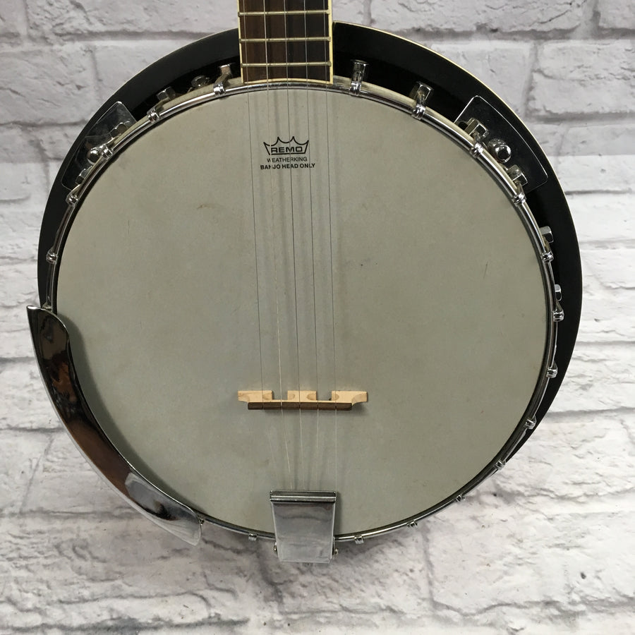 Davison 5 String Banjo