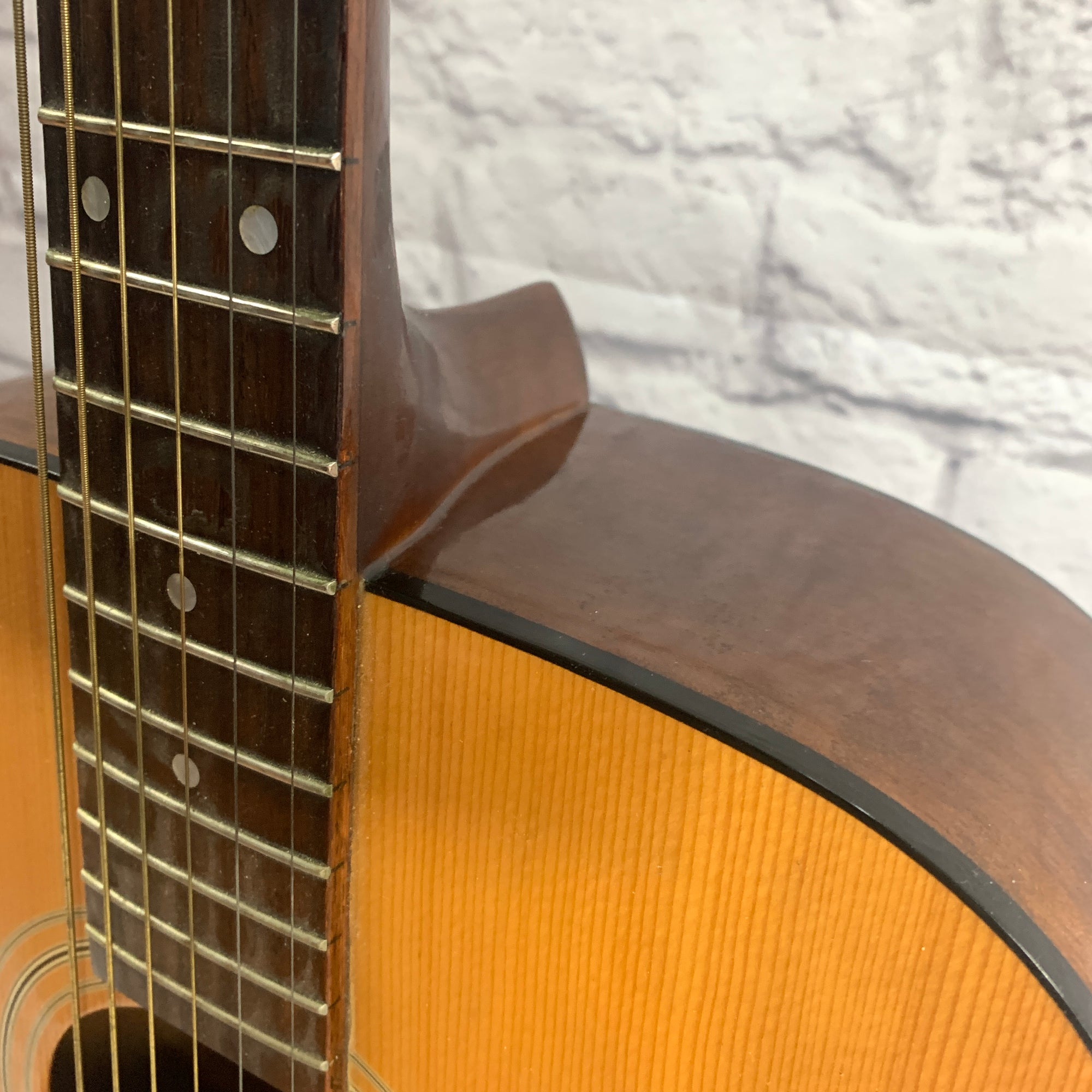 Fender Gemini Ii Acoustic Guitar Evolution Music