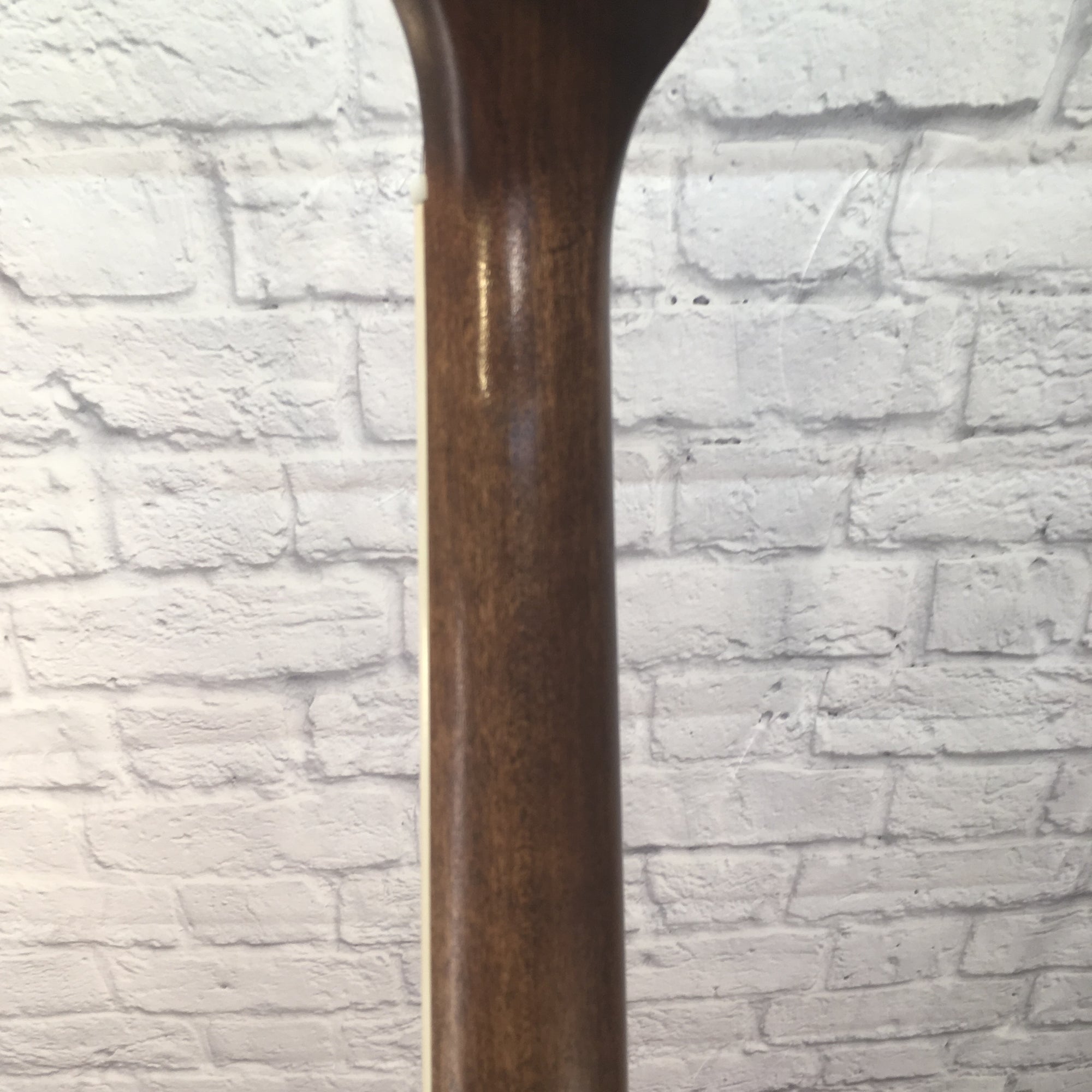 Vintage 1969 Harmony 168 "Restoration by Piszta"