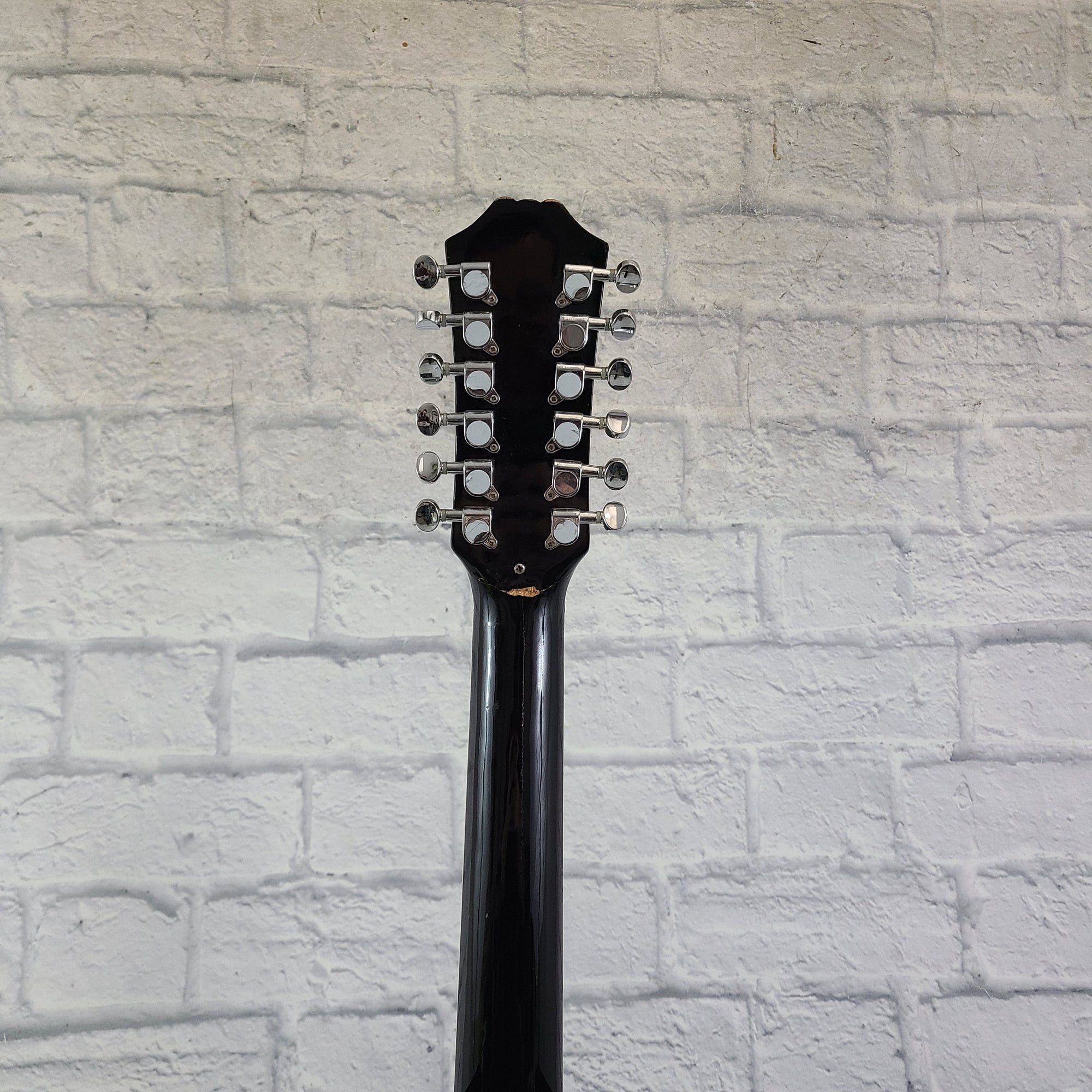 Carlo Robelli 12 String Acoustic