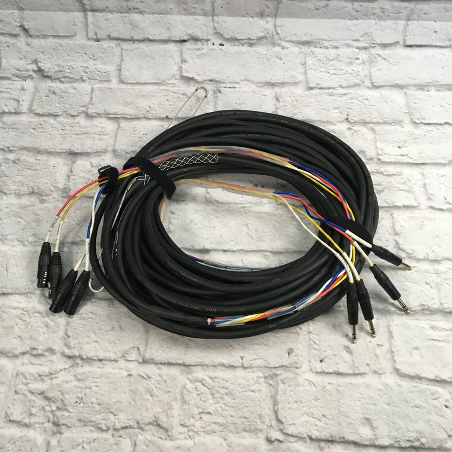 Unknown 100' TRS - XLRF 4 Channel Snake