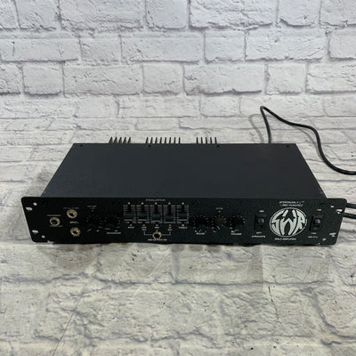 SWR Workingmans 300 Bass Head