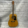 Washburn D-10 SZ Acoustic Guitar - Natural