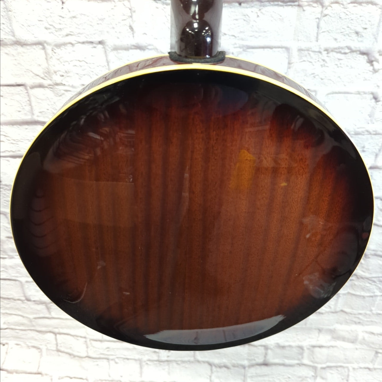 Fender 5 String Banjo with HSC