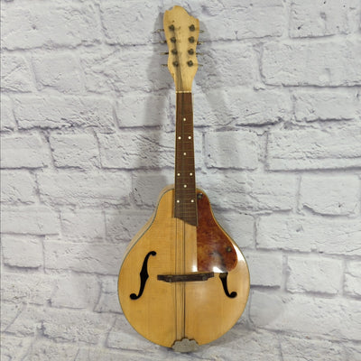 Unknown Antique Mandolin For Parts or Repair