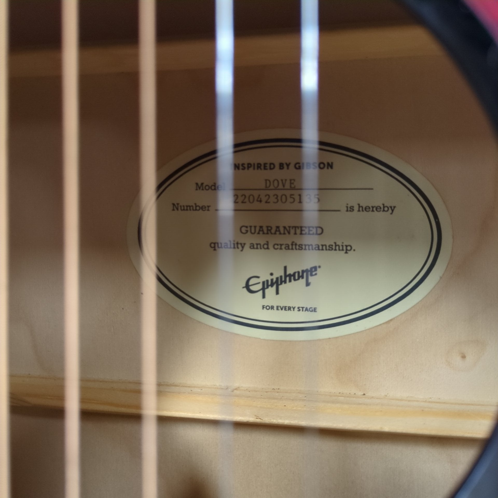 Epiphone Dove  Acoustic Guitar