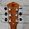 Washburn AG40CEK-A-U Arch top Guitar w/Hardcase