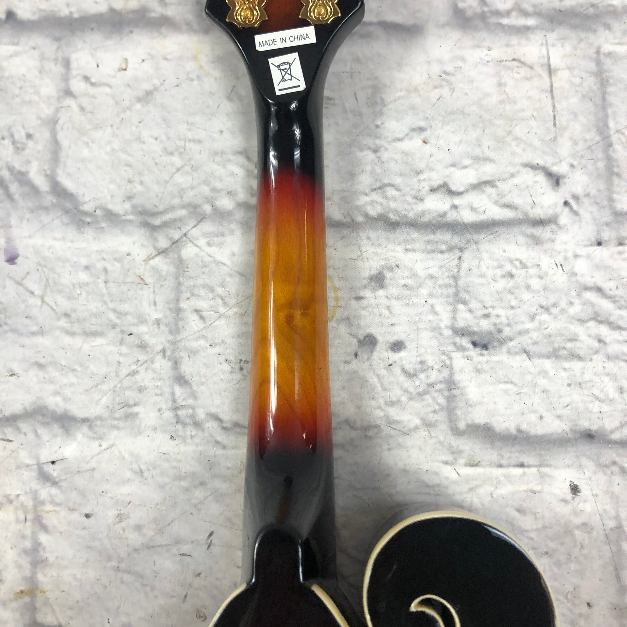 Morgan Monroe MM100FME Acoustic Electric F Style Mandolin