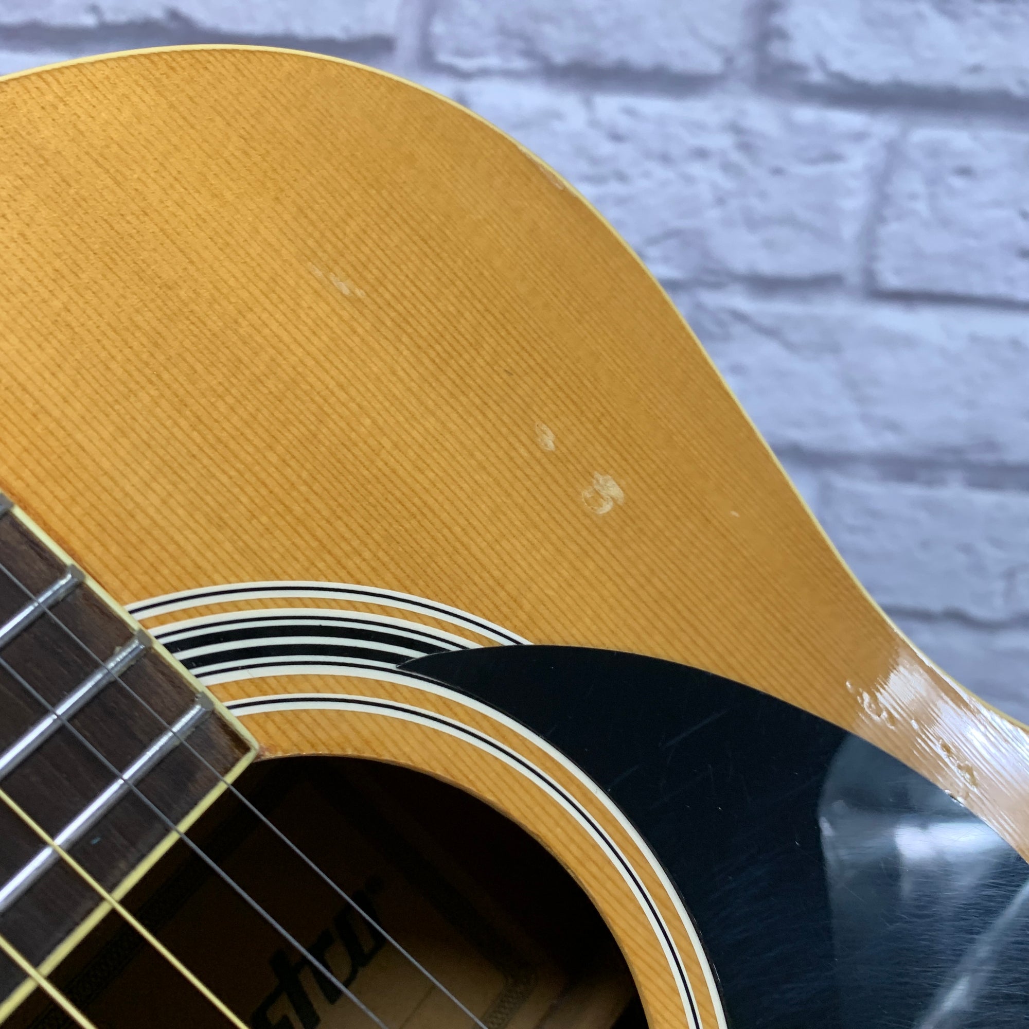 Maestro Macinach Concert Acoustic Guitar w/ Gig Bag