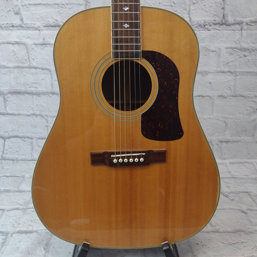 Washburn D25SN Acoustic Guitar