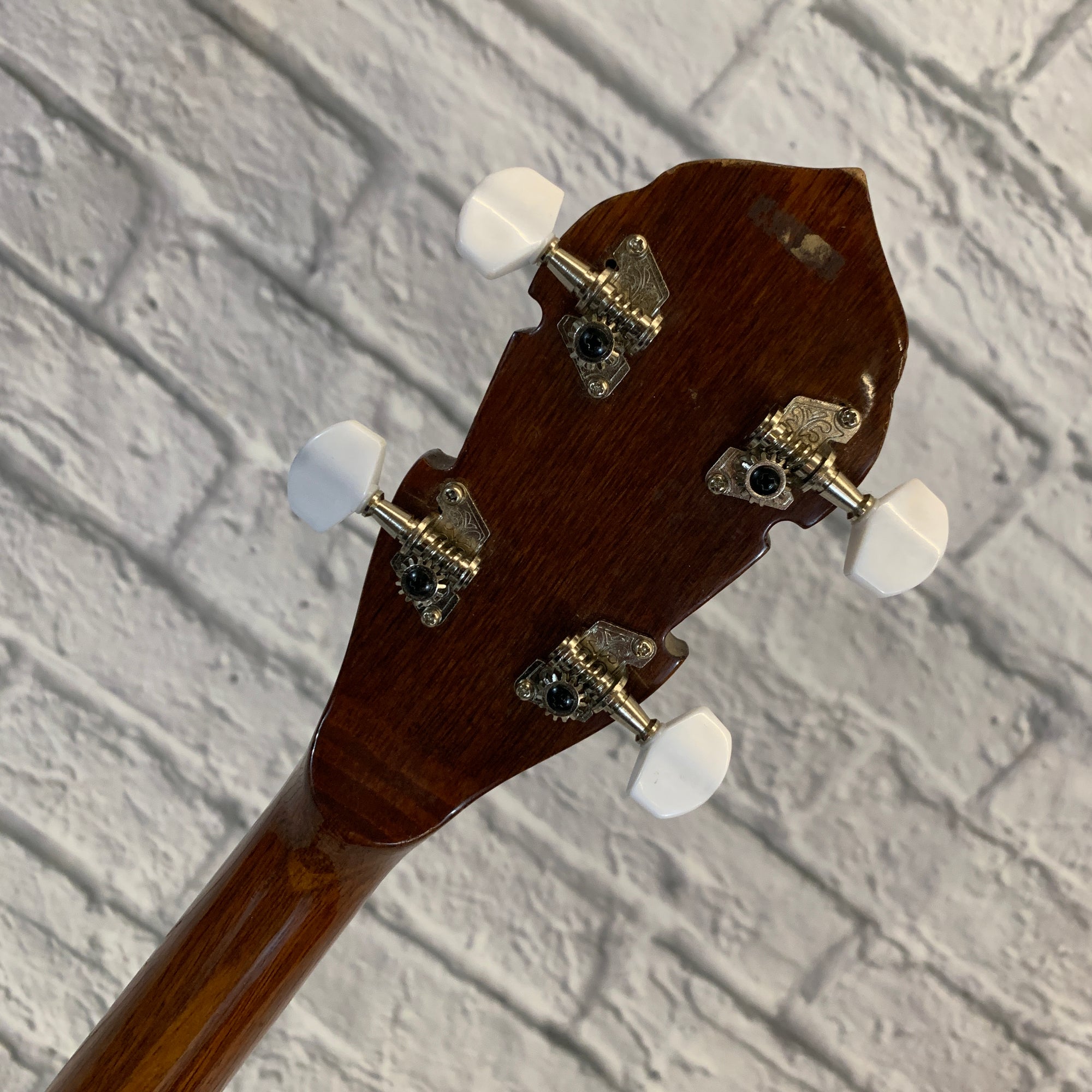 Unknown 5-String Banjo