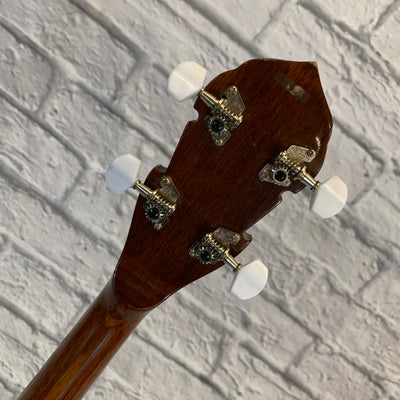 Unknown 5-String Banjo