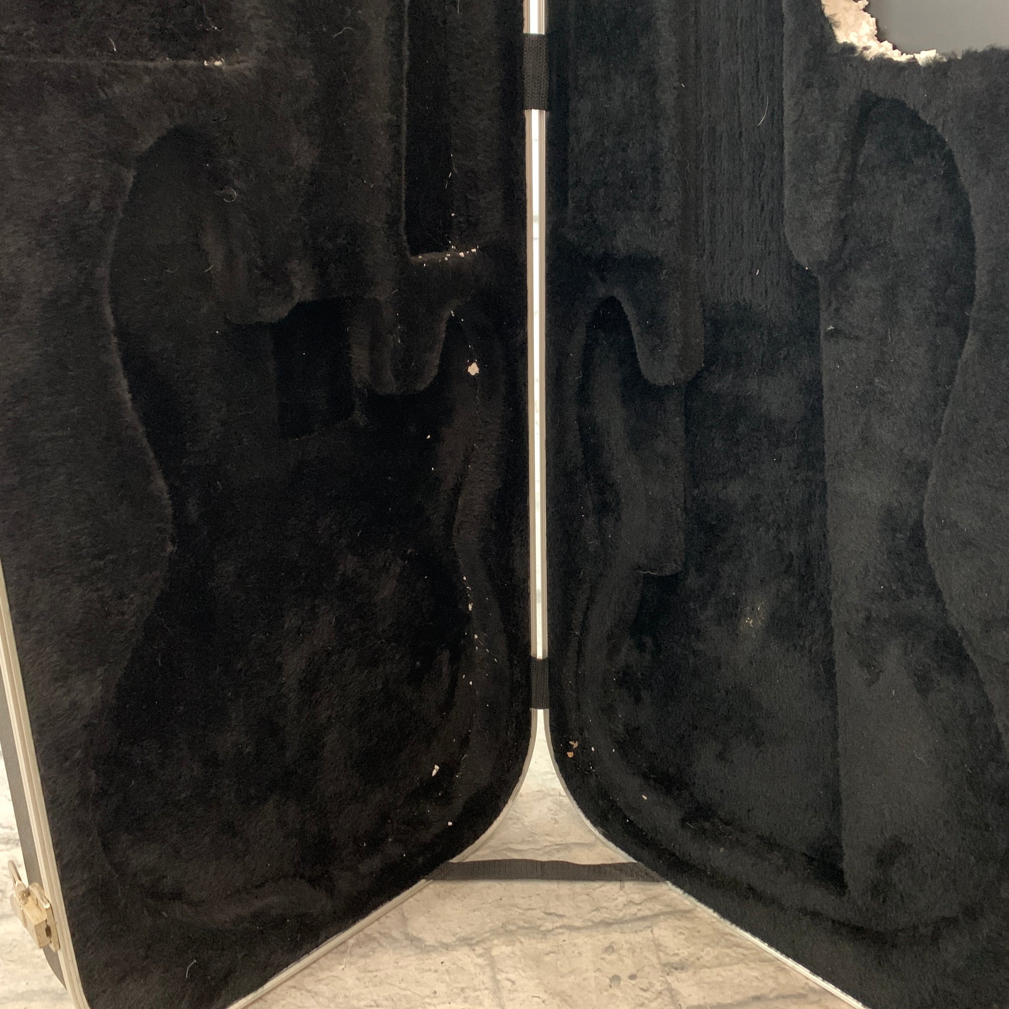 Road Runner Bass Case Hard Case