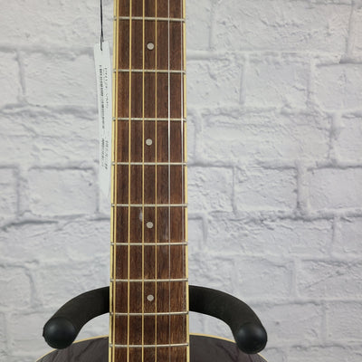 Ibanez PN12E VMS Parlor Acoustic-Electric Guitar
