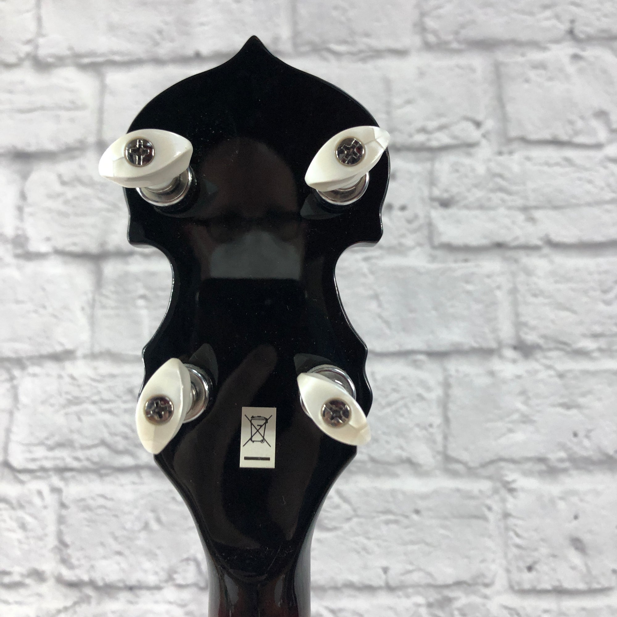 Washburn B-16 5 String Banjo with Case