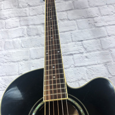 Ibanez AEL10E Acoustic Electric Guitar