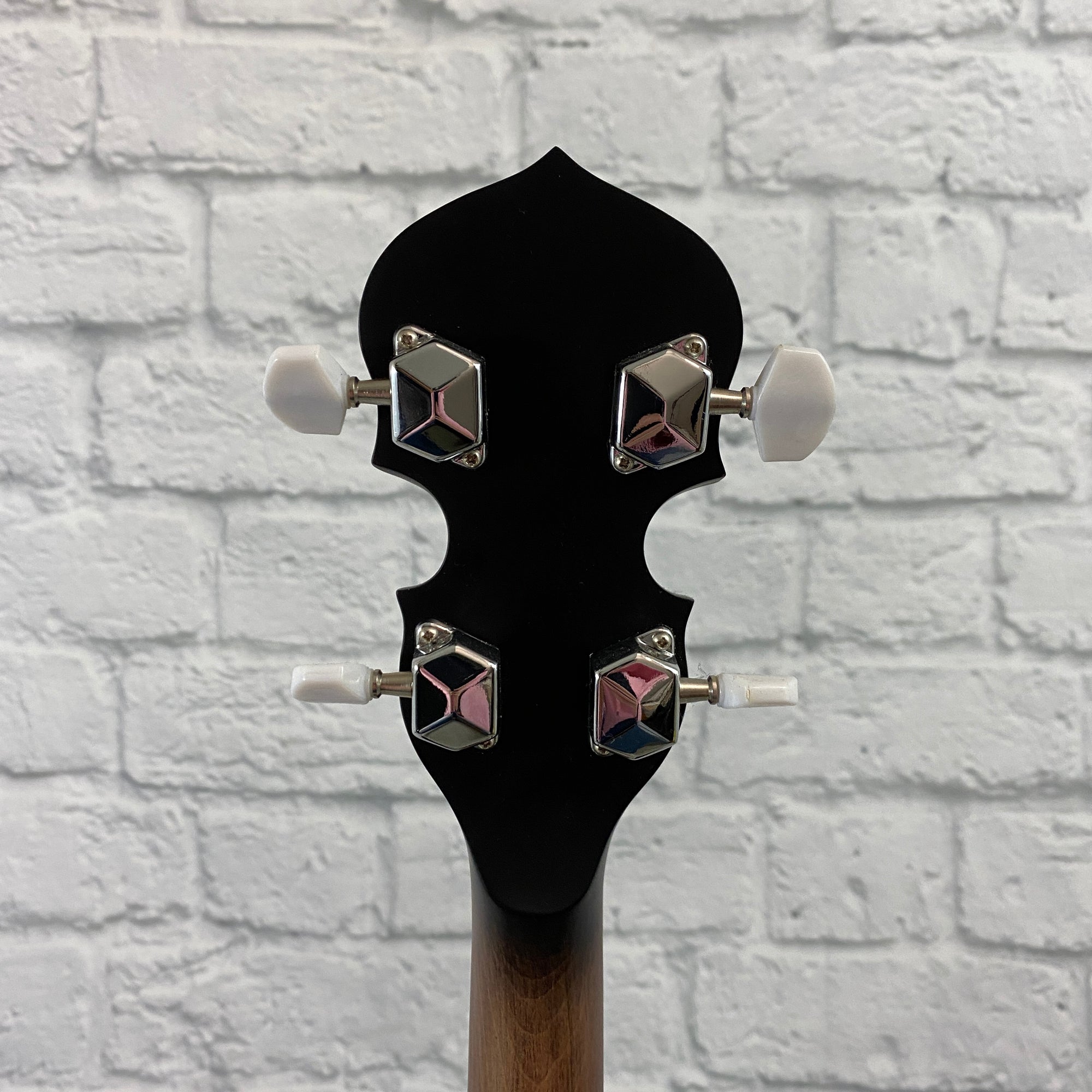 Gold Tone 5-string Banjo