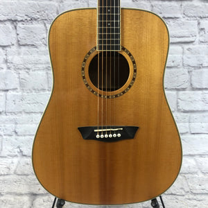 Washburn WD10 Acoustic Guitar