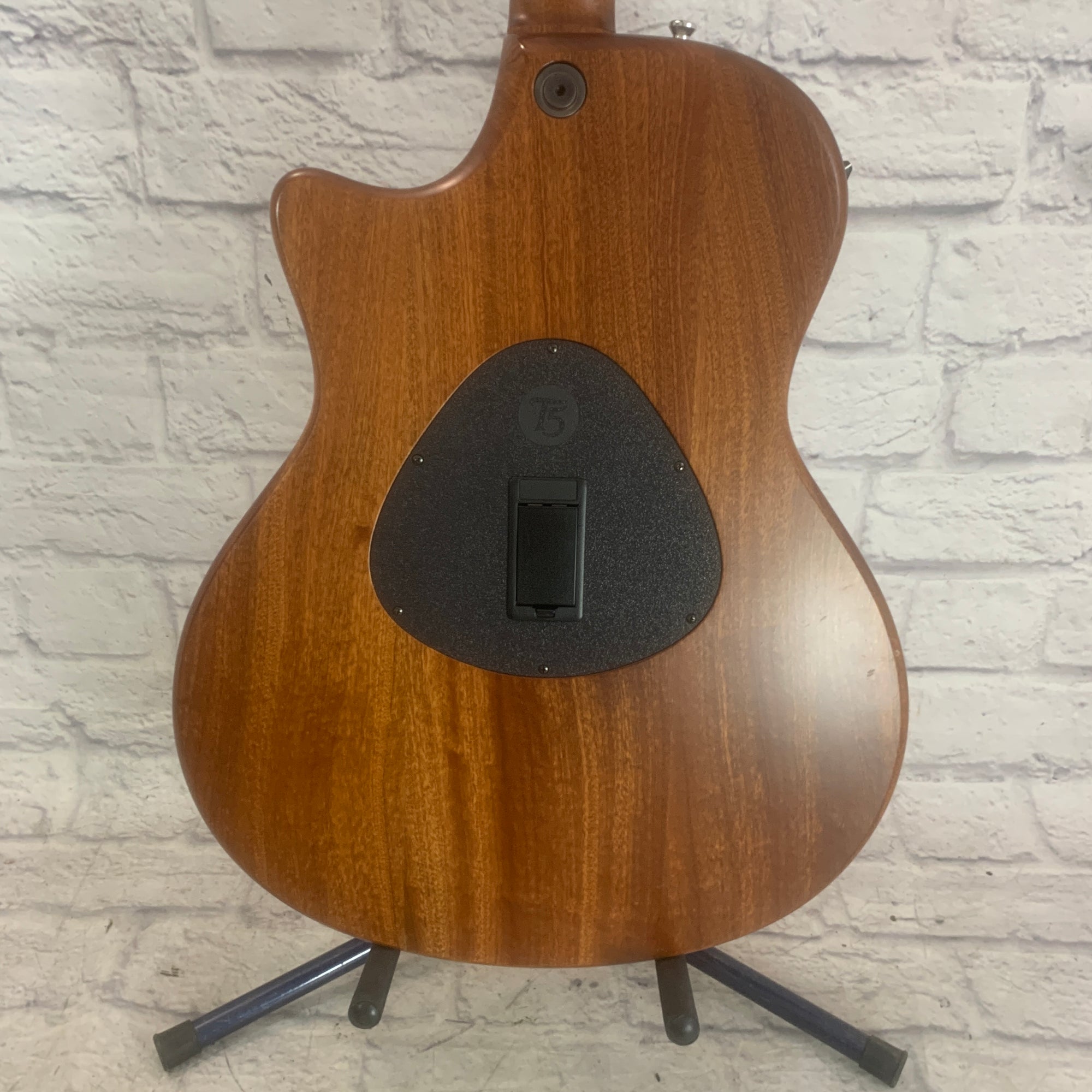 Taylor T5-X Classic with Ovangkol Top (Semi Hollow)