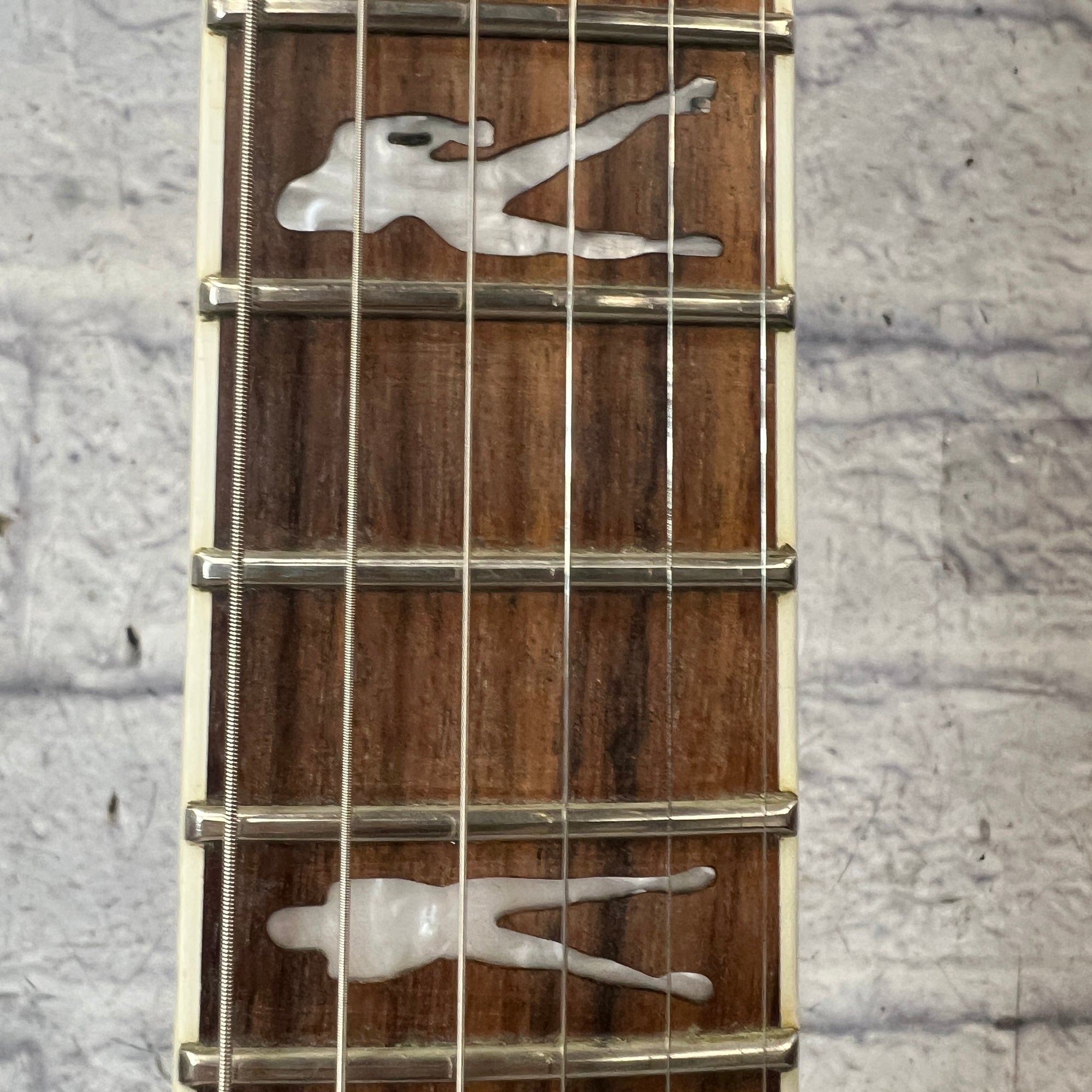Schecter Diamond Series XXX Electric Guitar - Evolution Music