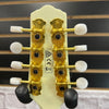 Ibanez M510EG-IV Mandolin