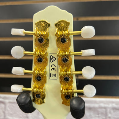 Ibanez M510EG-IV Mandolin