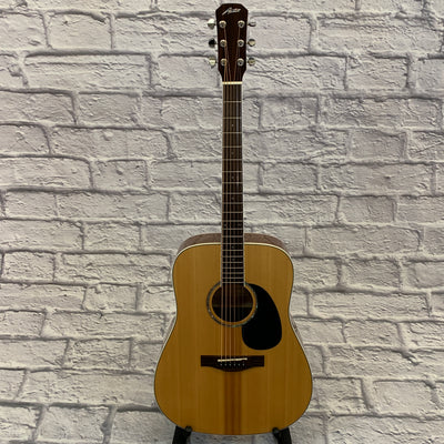 Austin AA60-D Dreadnought Acoustic Guitar