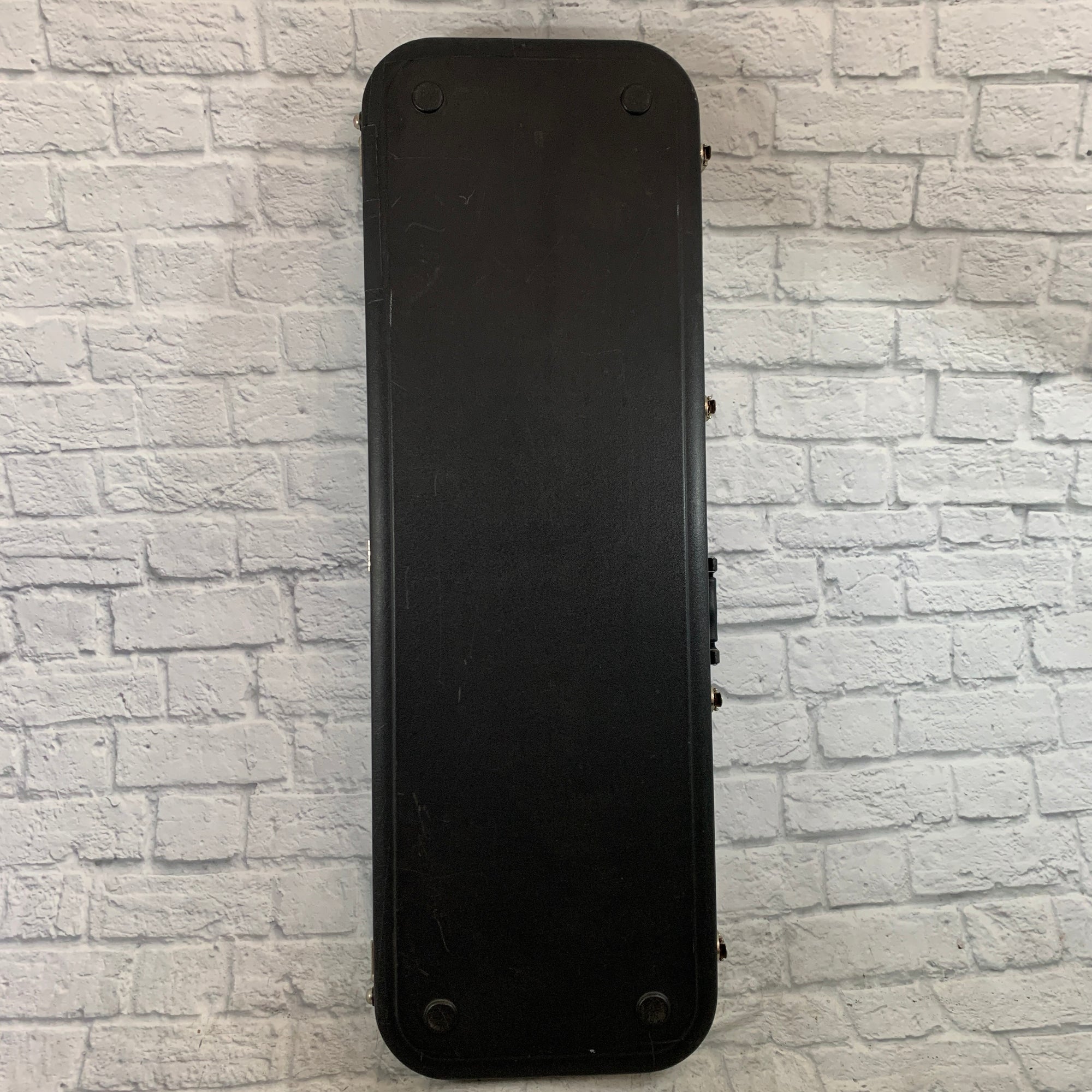Road Runner Bass Case Hard Case